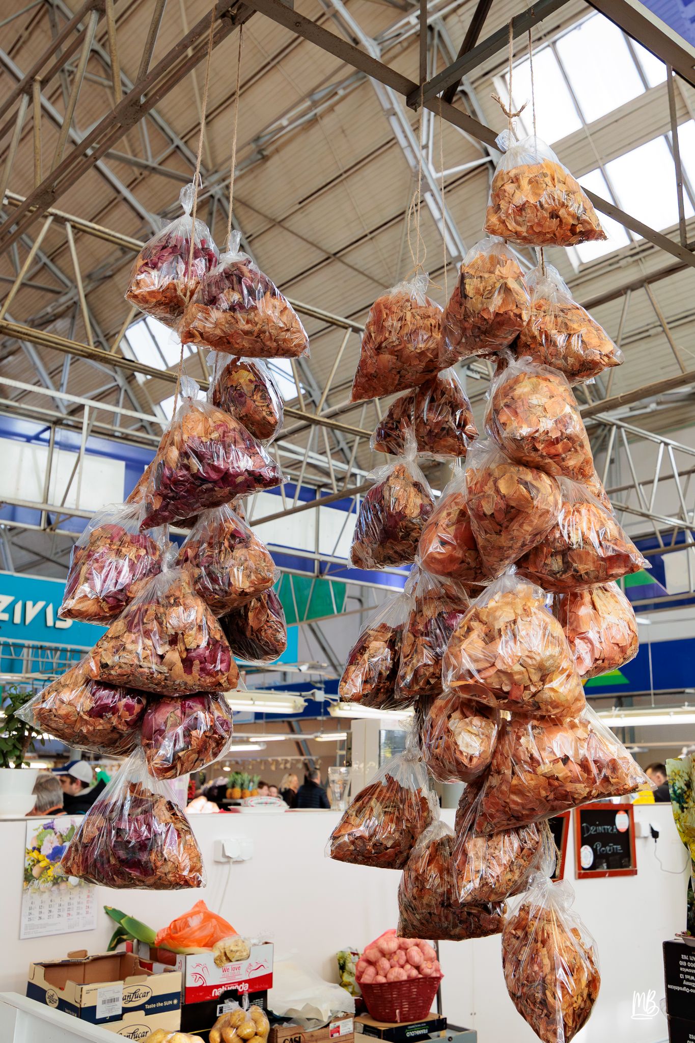 2024   Riga   MB 229